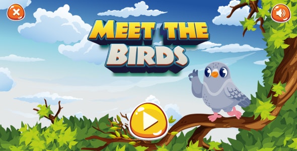 Meet The Birds Game